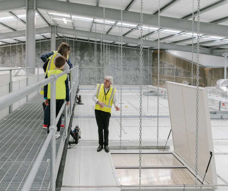 The Cheese Club - Whats on NZ