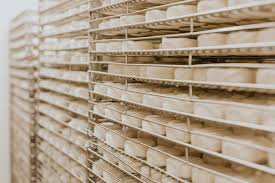 The Cheese Club - Whats on NZ